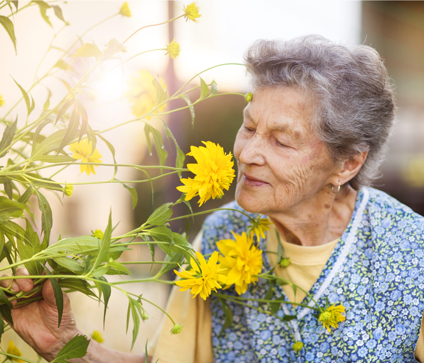 shutterstock_219455902